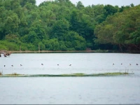 Great Circle Cabanas