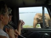 Yala Camping Safari Sightseeing Lanka
