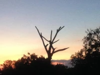 River Side Home Tissamaharama