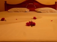 Victory Guest House Tissamaharama