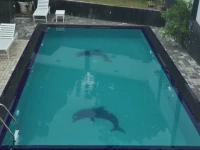 Pearl Villa Padinnoruwa