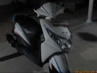 Banyan Tree Guest Home