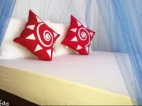 Orcheeda Holiday Inn