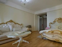 Apartment Apolona