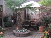 Flower House Apartment