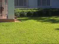 Spendwise Lodge & Apartments