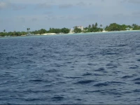 Silver Shade Guest House 2*