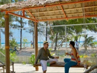 Coconut Tree Hulhuvilla Beach