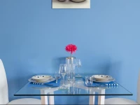 Apartment Bird Of Paradise