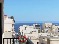 Seashells One Bedroom