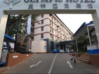 Olympic Hotel Yangon 3*