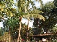 Inle Valley Bed & Breakfast 2*