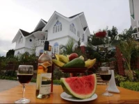 Green Haven Hotel 2*