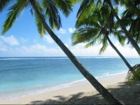 Sunhaven Beach Bungalows