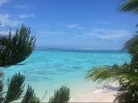 Arapati Holiday Homes