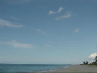 Silver Palm Beach House 1A