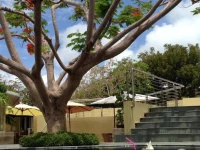 Kokomo Botanical Resort