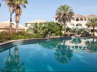 Dolphins Jump@Curacao Ocean Resort