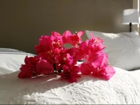 Marvel Lizomo Residences