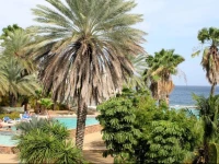 Ocean resort Apartment Warawara