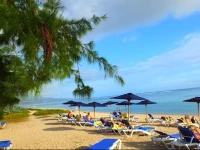 Le Nautile, Ile de la Reunion