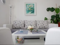 Apartment Cernica 3*