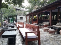 Pansion Oscar Summer Garden