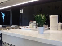 Saraj Apartment Cobanija