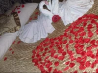 Aladin and Arabella Apartments