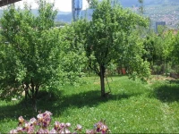 Aparment Center Panorama