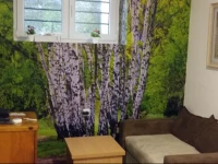 Apartment Dutch Kosevo