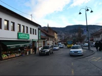 Pansion FoДЌin Han