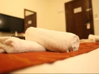 Shepherd Plaza Hotel