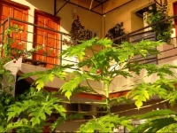 Sun Havens Apartments & Suites