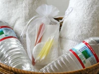 The Balboa Heights Bed & Breakfast