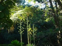 Tranquility by the Sea