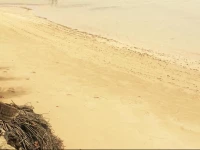 Vacations Beach Fale