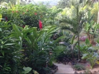 A Peace In Paradise Villa