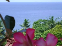 Bukit Indah Homestay