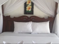 The Shooting Star Homestay