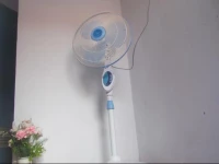 Nina Bed & Breakfast