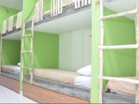 Hostel World, The Eco Living