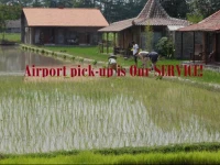 Alamanda Villas and Adventure