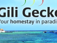 Gili Gecko