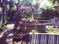 Good For Ya Knee Hostel & Bungalows