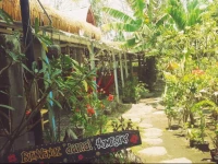 Damai Homestay Gili Air