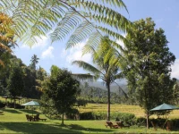 Amartya Puri Green Cottages