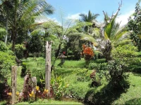 Prana Dewi Mountain Resort