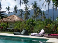 Rhipidura Bungalows and Horses