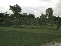 Green Venus Home Stay